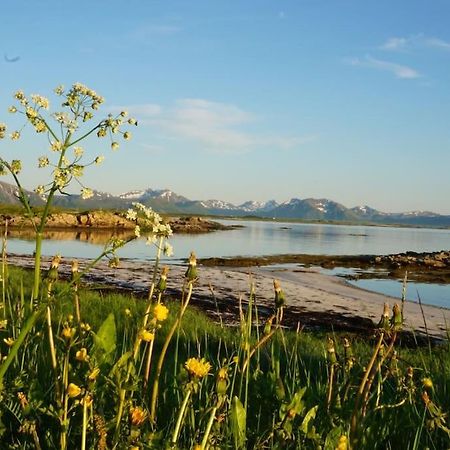 Sjarmerende Hus Med Orkesterplass Til Hav Og Fjell Stave Extérieur photo