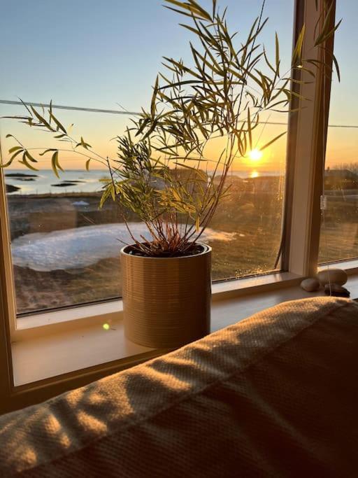 Sjarmerende Hus Med Orkesterplass Til Hav Og Fjell Stave Extérieur photo