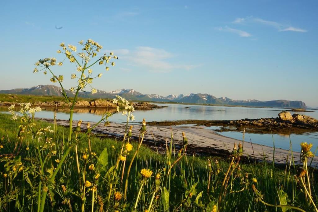 Sjarmerende Hus Med Orkesterplass Til Hav Og Fjell Stave Extérieur photo