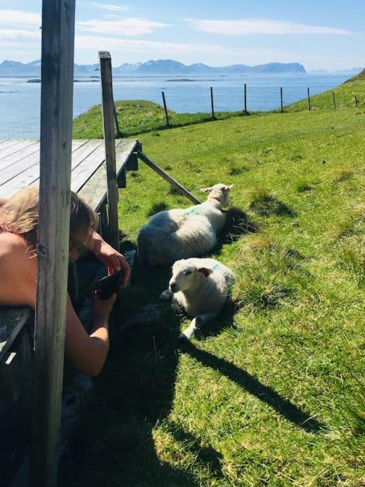 Sjarmerende Hus Med Orkesterplass Til Hav Og Fjell Stave Extérieur photo