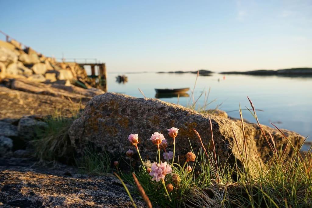 Sjarmerende Hus Med Orkesterplass Til Hav Og Fjell Stave Extérieur photo